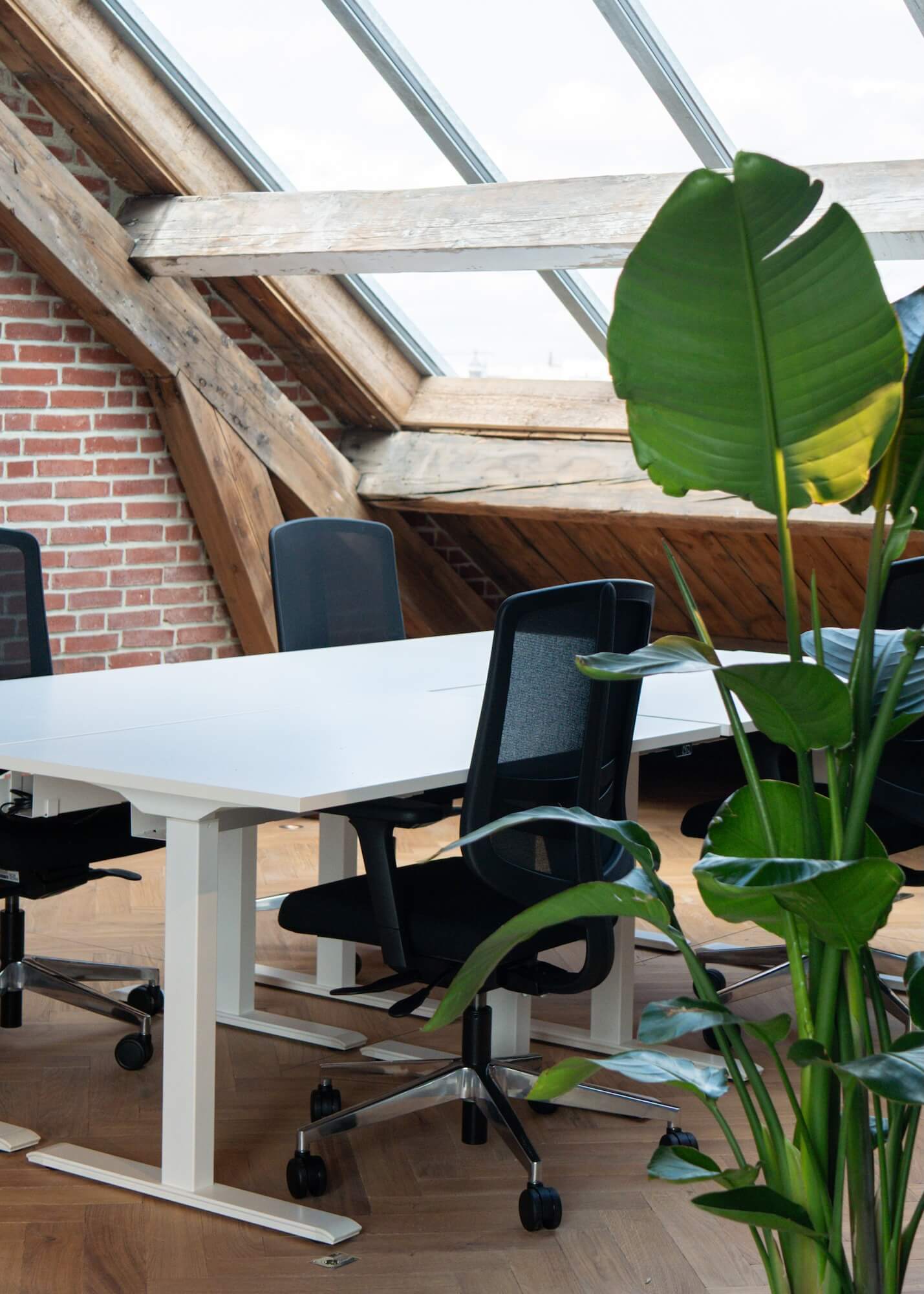 NORNORM x RIVVIA office furniture project in London, United Kingdom by NORNORM UK LIMITED — image 3