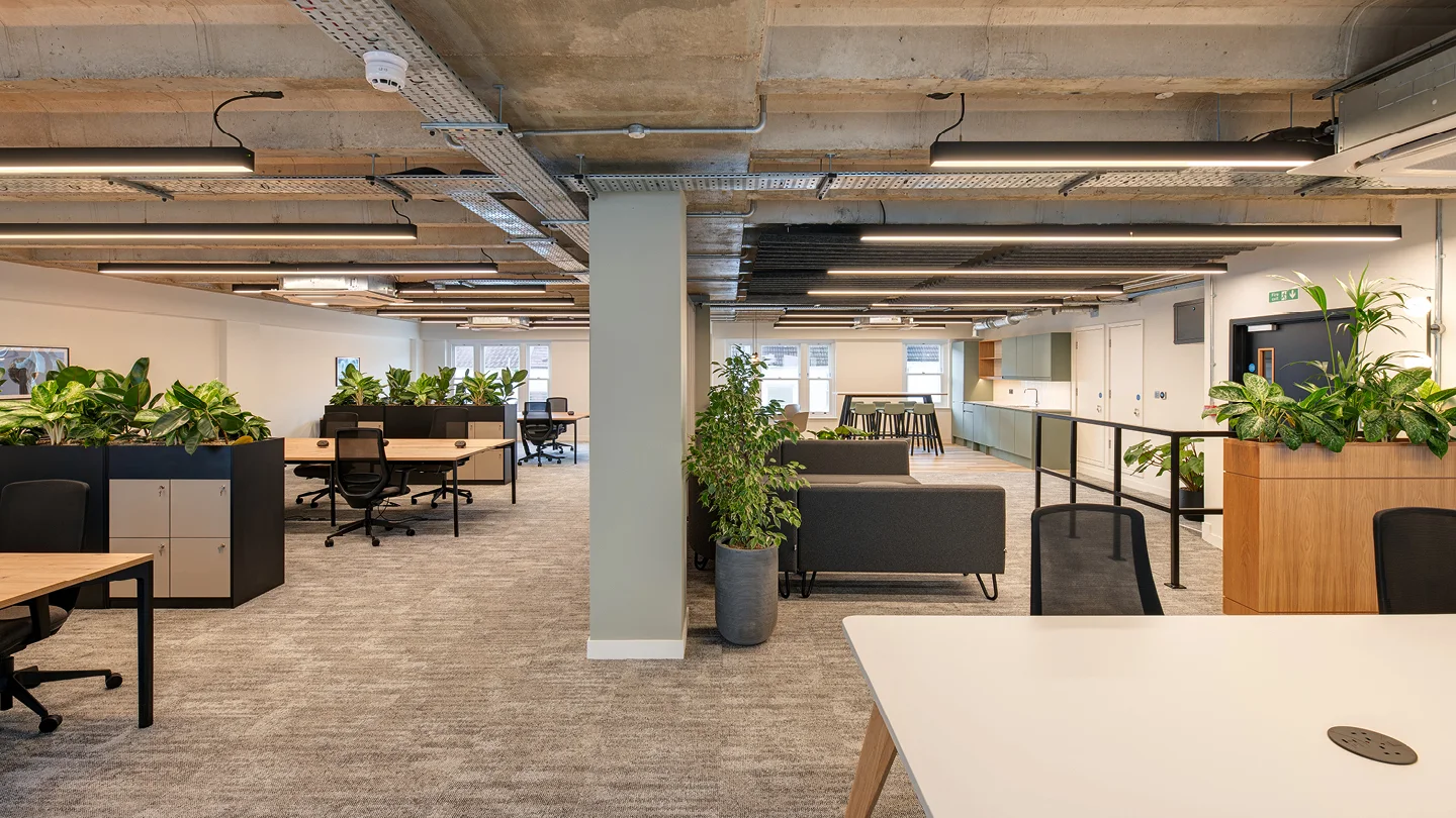 42 Queens Road construction & cat a project in Brighton and Hove, United Kingdom by Workplace Creations — image 8