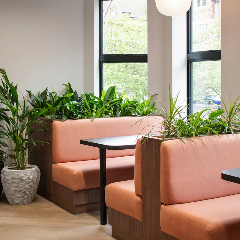 5 Londsale Gardens cat b fit-out project in Royal Tunbridge Wells, United Kingdom by Workplace Creations — image 14
