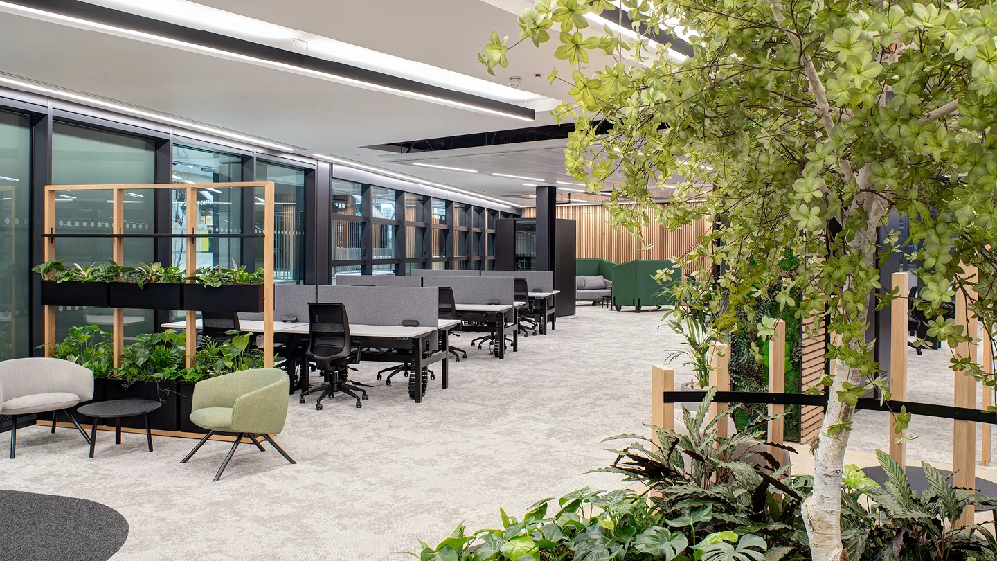 The Bailey construction & cat a project in London, United Kingdom by Workplace Creations — image 2